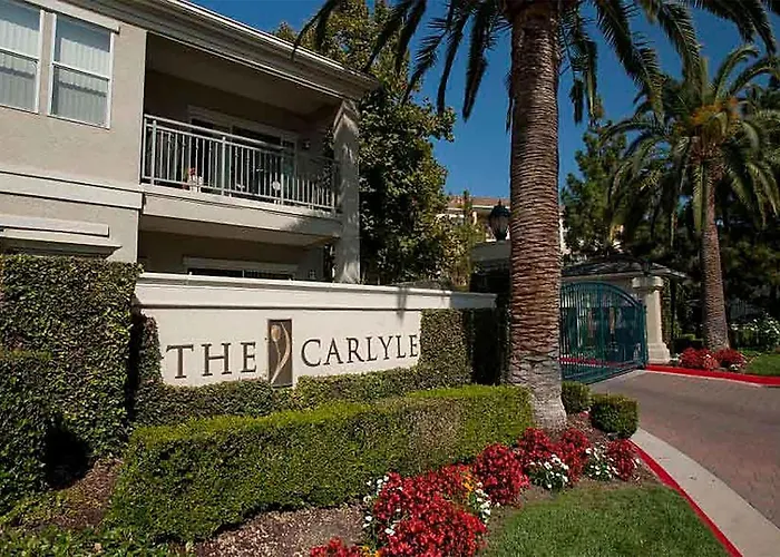 Carlyle By Synergy