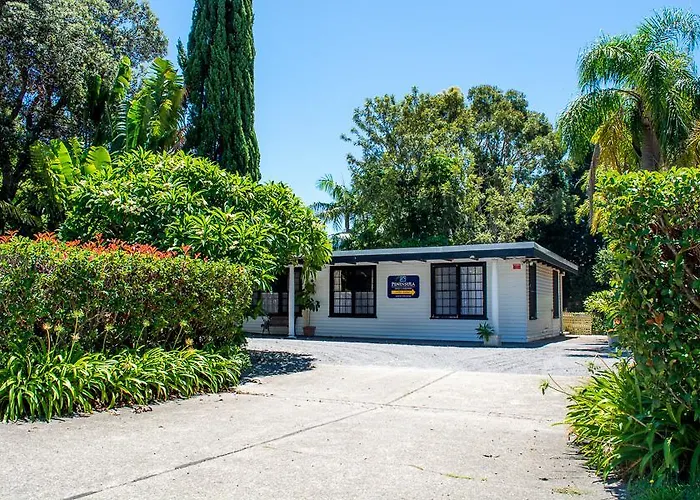 Nelson Palms