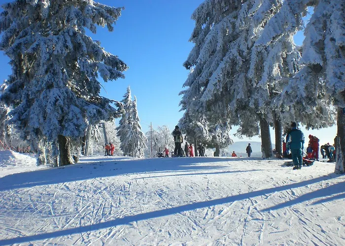 Pension Philippsreut "Zum Pfenniggeiger" Am Goldsteigwanderweg