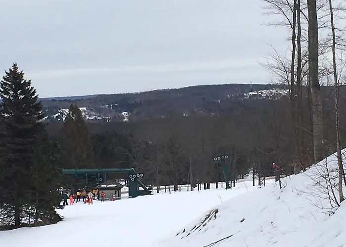 Boyne Mountain Creekside Condo