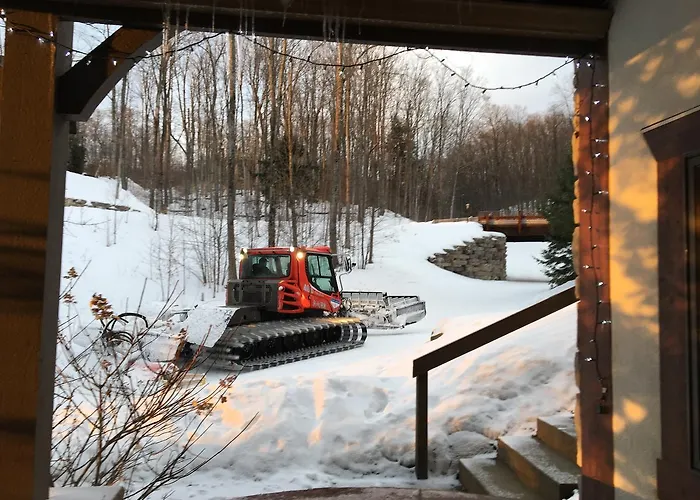 Boyne Mountain Creekside Condo