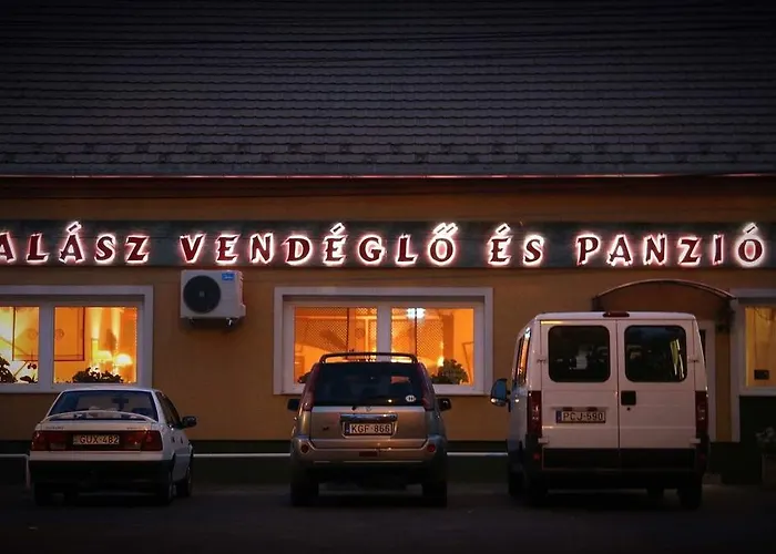 Halasz Airport Panzio