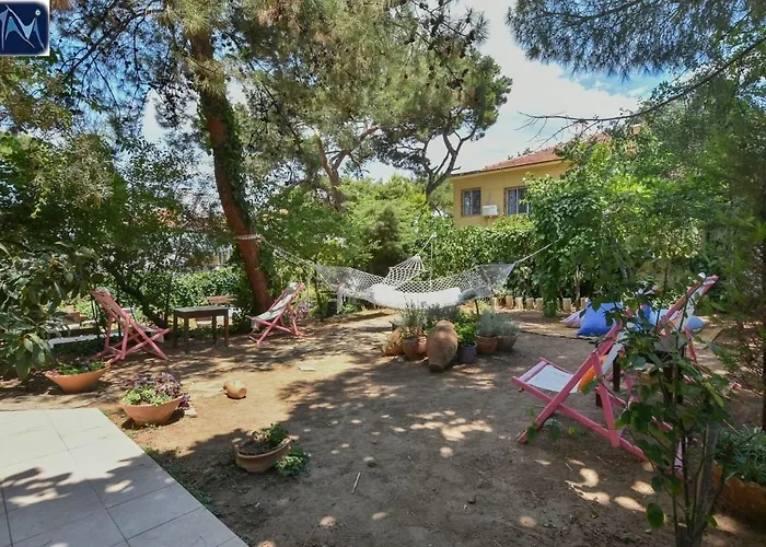 Mavi Pension