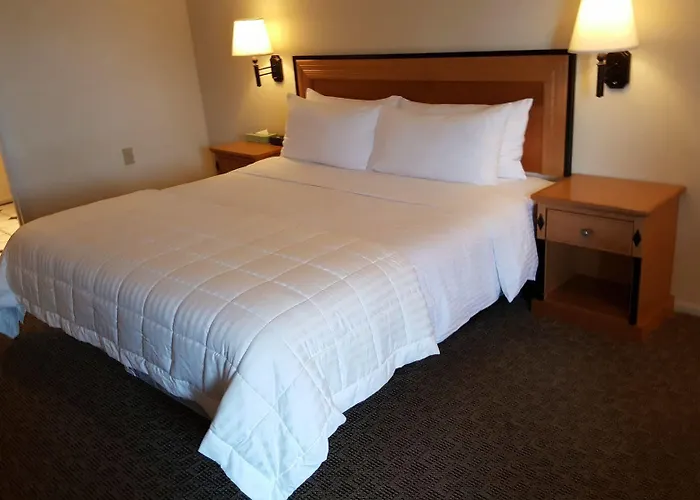 Japan House Suites