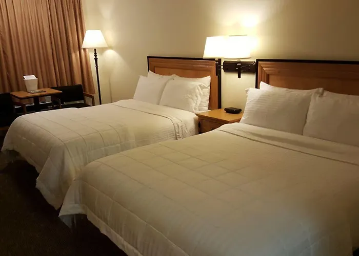 Japan House Suites