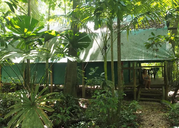 Daintree Crocodylus