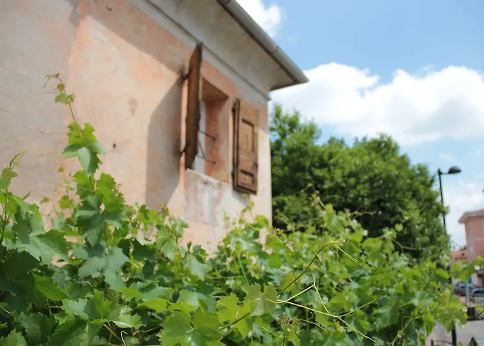 Alla Vigna