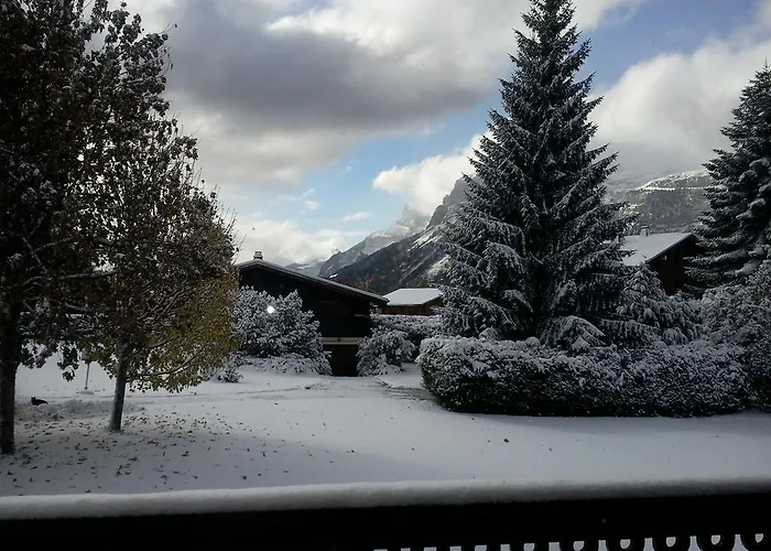 Appartement Les Carroz D'Arraches