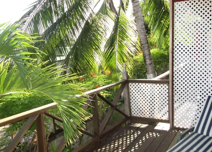 Dolphin Inn Guesthouse & Apartments