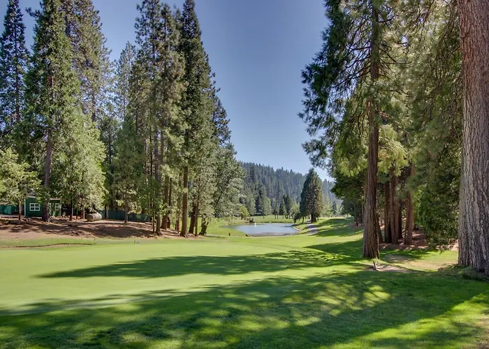 Bears Meadow
