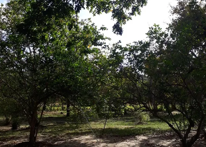 Sitio Santo Antonio