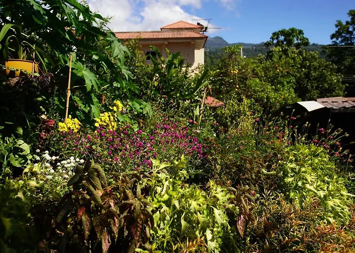 Agaseke Lodge Boquete