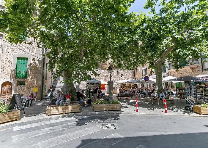 Town House Cas Decu