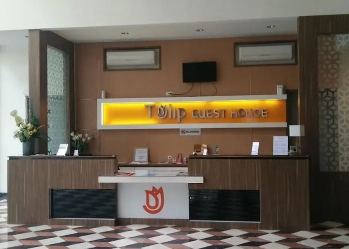 Tulip Guest House
