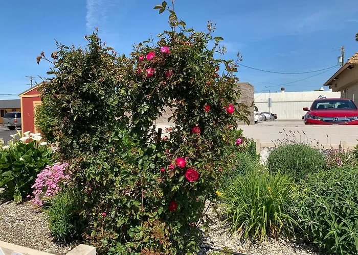 Wagon Wheel Motel