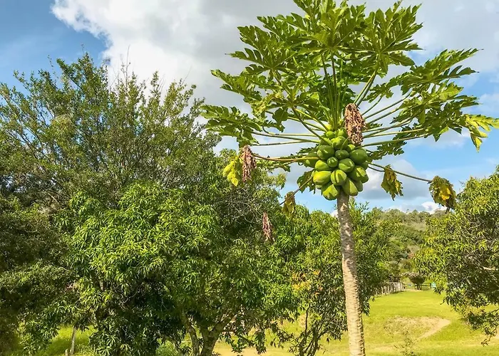 Fazenda Paisagem Chalés