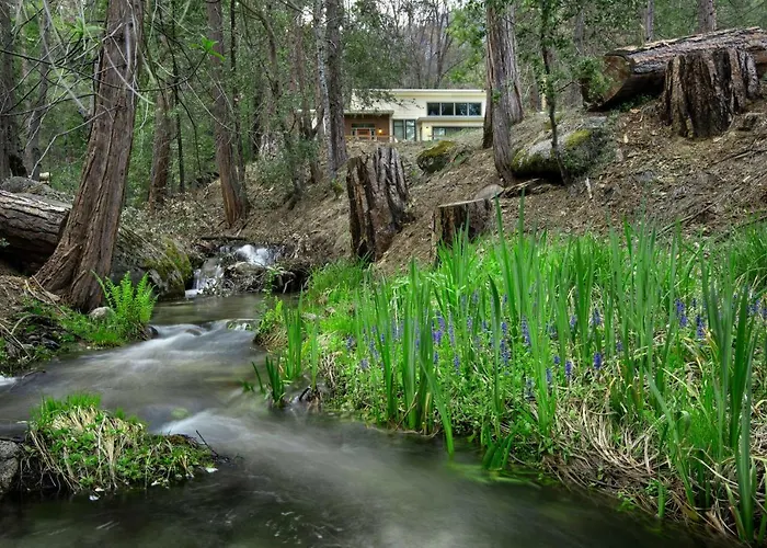 Spring Meadow Retreat At The Redwoods In Yosemite