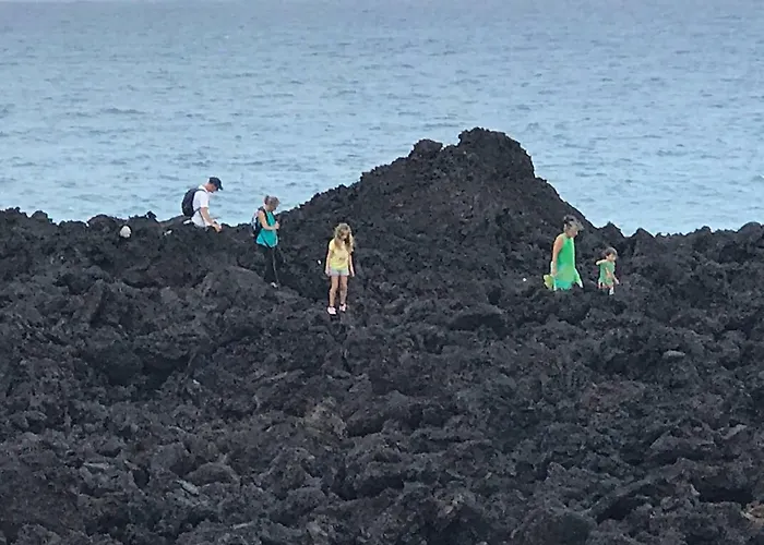 Coconut Palms Vacation Rental Near Lava Fields And Beaches