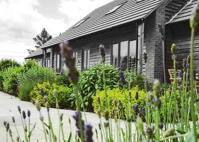 Elm Tree Farm Accommodation