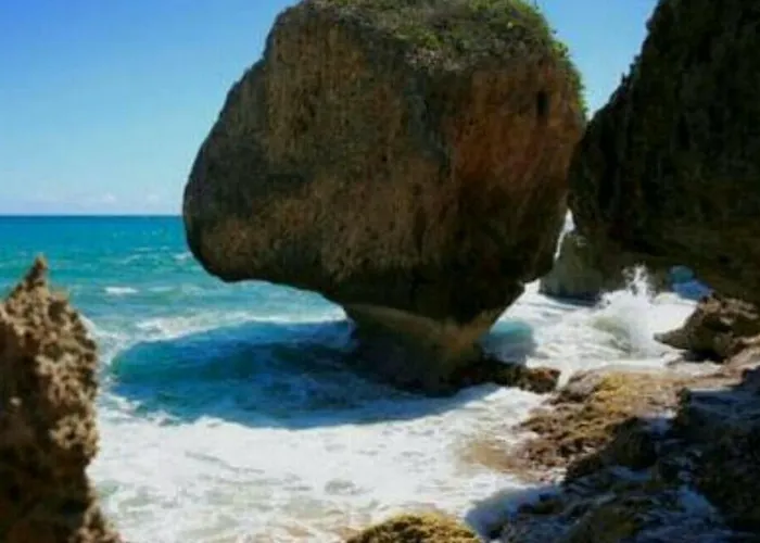 Palmeras Del Mar