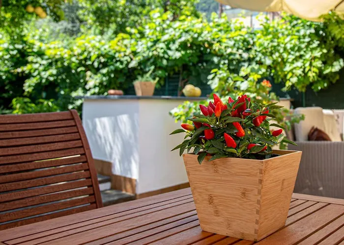 Xenia House Sorrento
