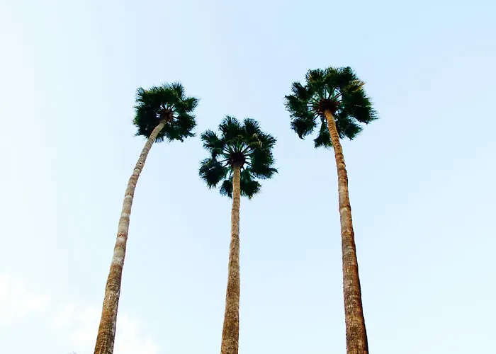 Delos Reyes Palm Springs