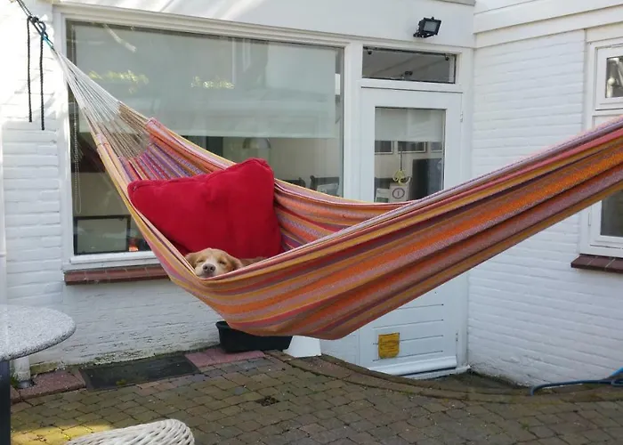 In De Stad, En Rustig Als Op Het Platteland