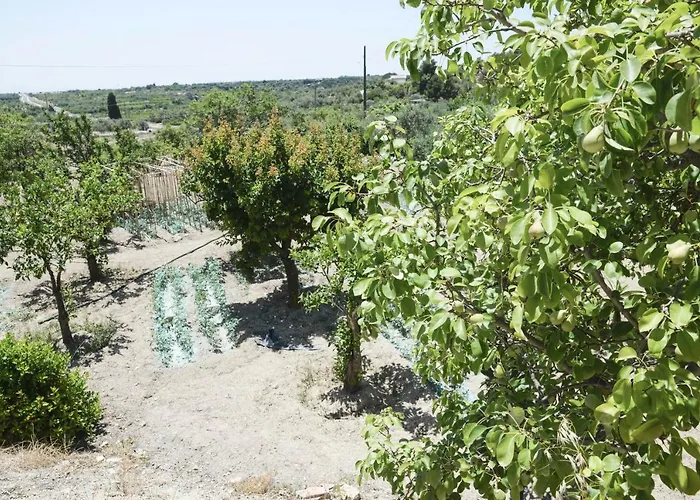 Jardinu