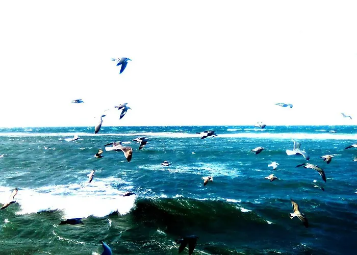 San Liberale Sul Mare