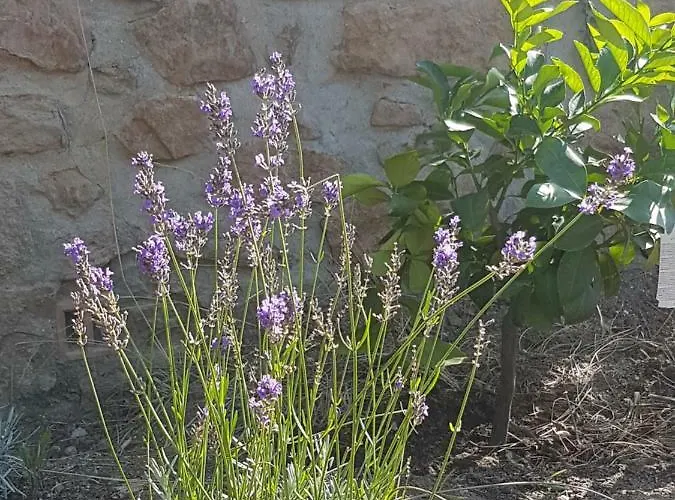 La Petite Bergerie
