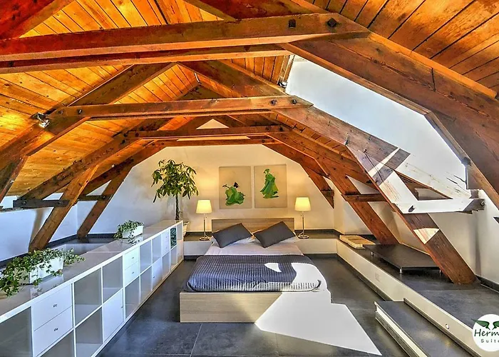 Hermes Suite