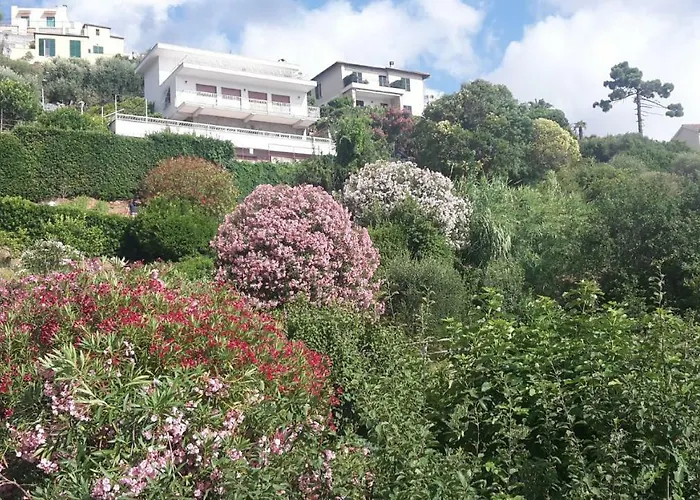 Via Dei Ginepri