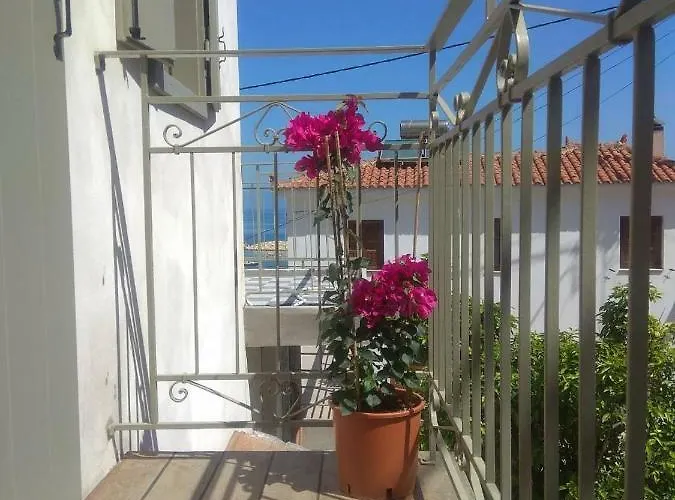 Elia House