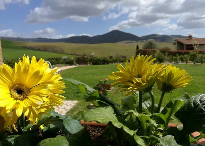 Podere San Luigi - Pet Friendly