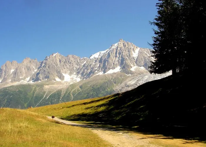 Facing The Chamonix Needles