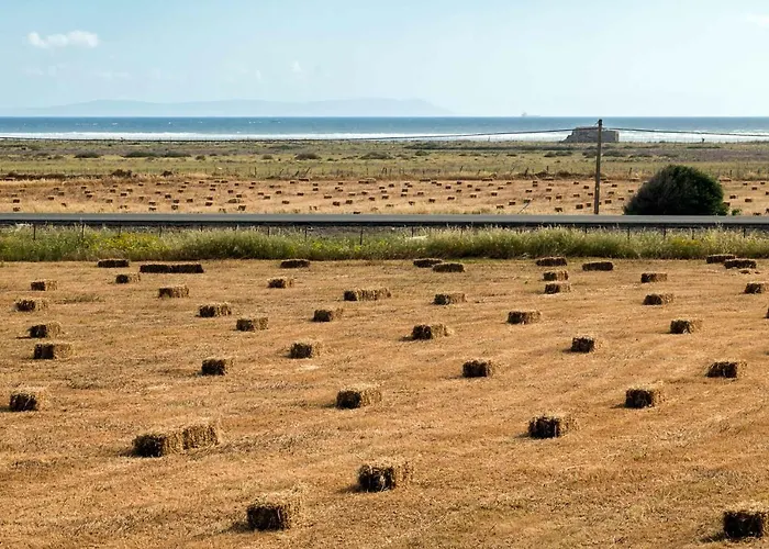 La Vega Del Prado