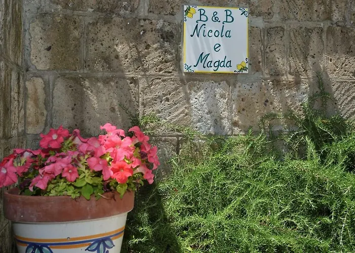 Nicola E Magda