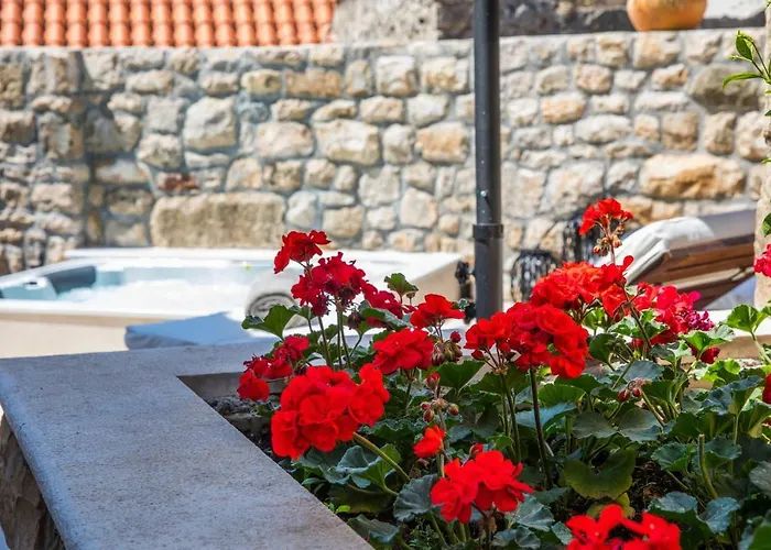 Vacation House Pietra