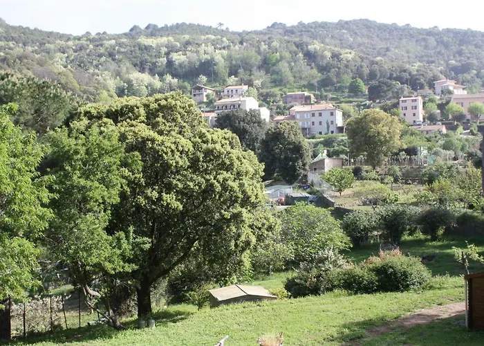 A Cardiccia Loc Saisonnieres Piana