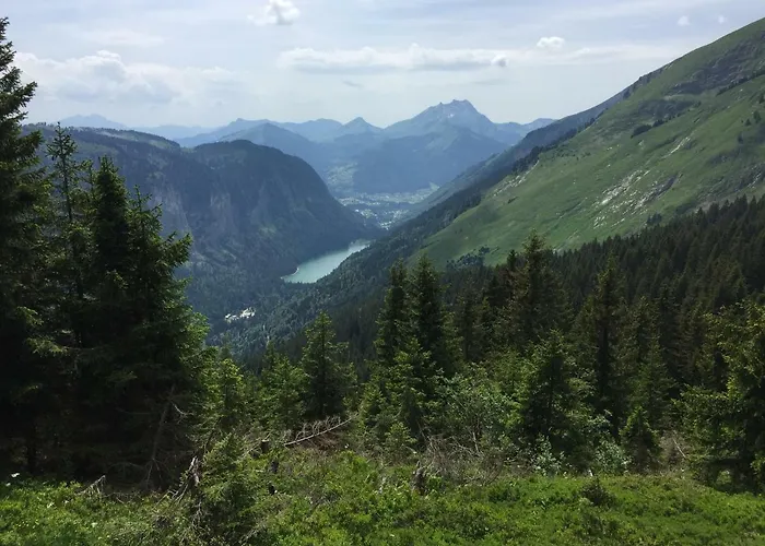 Appartement Studio Avoriaz