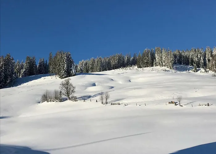 Bergpension Zinting
