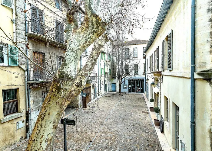 Studios Entre Le Pont D'Avignon Et Le Palais Des Papes - Ac Clim Parking