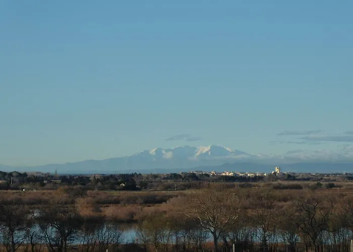 Gite Des Jonquies, Au Calme Vue Sur Le Canal Du Midi Et La Mer