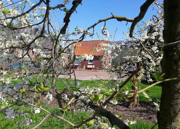 Gemuetliches Haeuschen Im Alten Land
