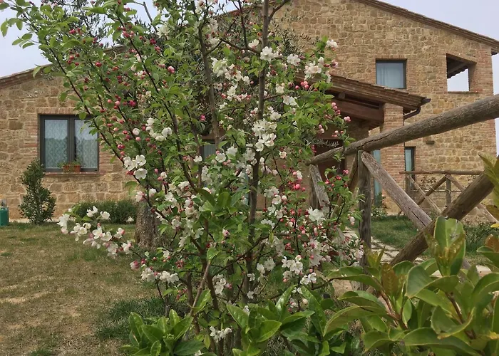 Residenza Al Poggio Degli Ulivi