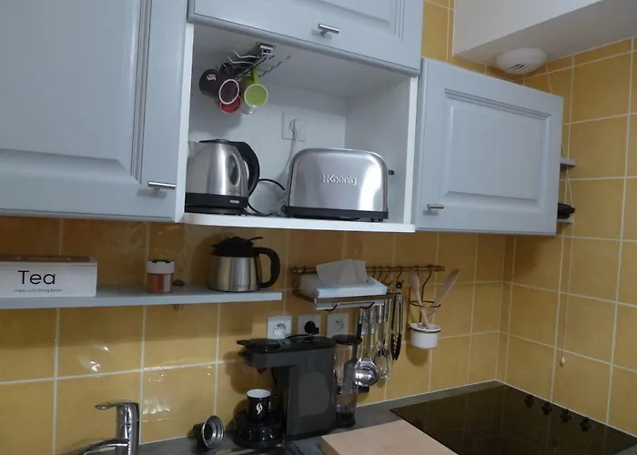 Confortable Appartement T2 Cabine Loudenvielle