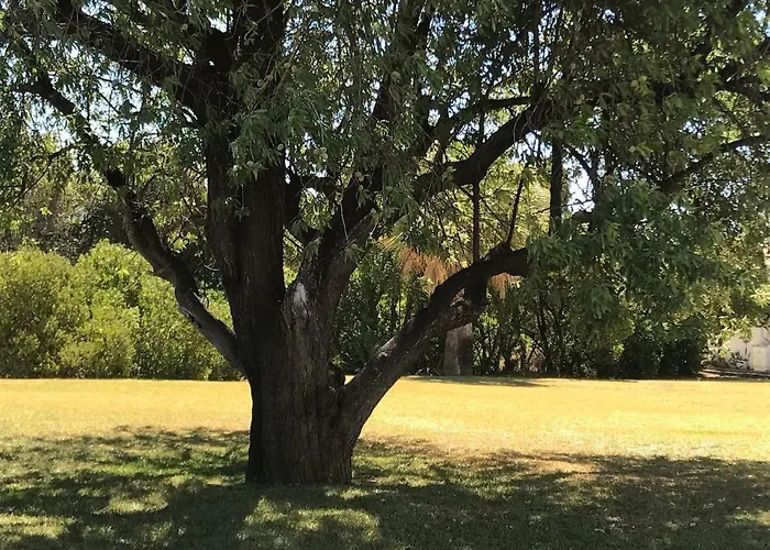 Villa C/ Piscina Proxima Da Praia