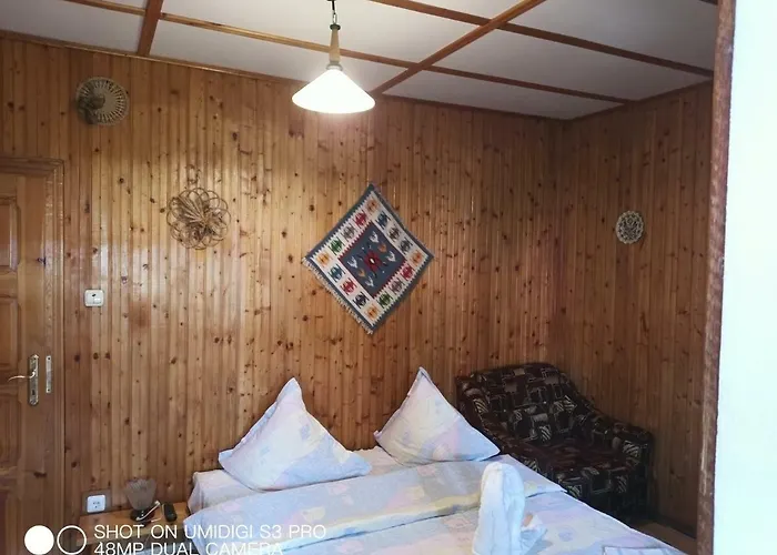 Casa Rodica Str. Clabucetului 28