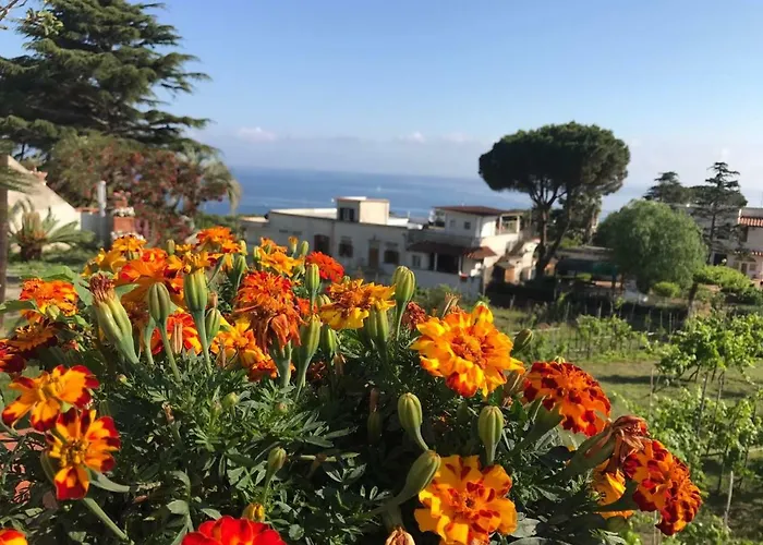 Villa Araucaria
