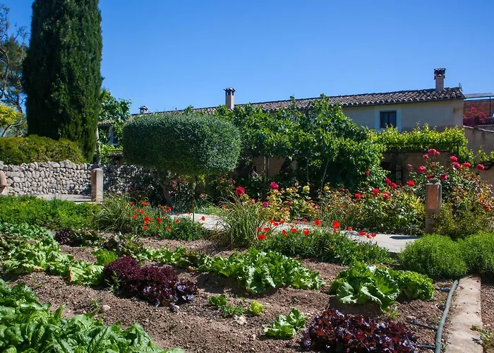 Oliver Moragues Grandhouse & Vineyard